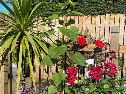 Building A Special Place 