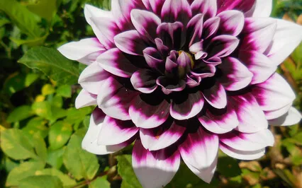 Building Blocks Toward A Good Night's Sleep Using Meditation 