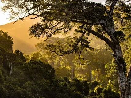 Building Calm Within The Storm