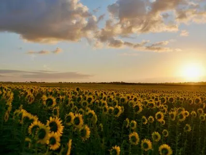 Building Compassion After Unpreferred Choices