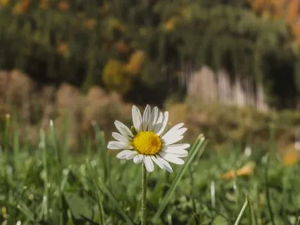 What You Need To Build Confidence & Self Trust?