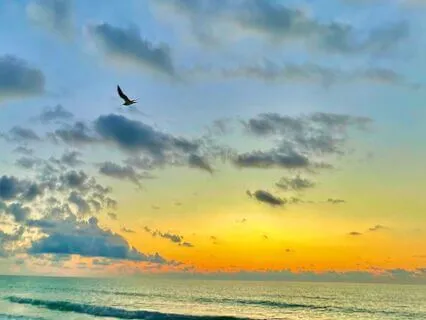 Building Confidence & Self-Worth Visualizations