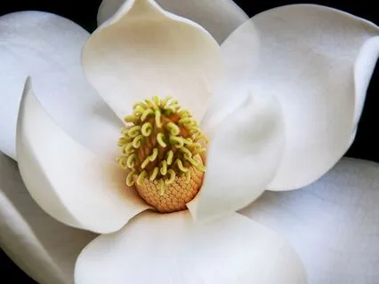 Building Eco-Resilience: 6 Practices with Heather Sundberg