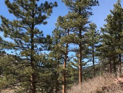 Building, Fulfillment and Enjoyment (Daily Practice)