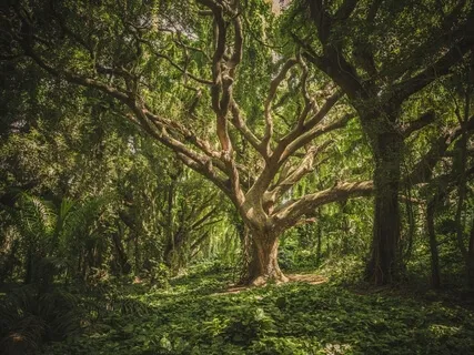 Building Inner Strength & Stability During Difficult Times