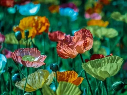 Building Resilience From Within