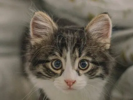 Building Resilience: Your Inner Resources For Challenges