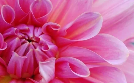 Building Self-Appreciation - Guided Meditation