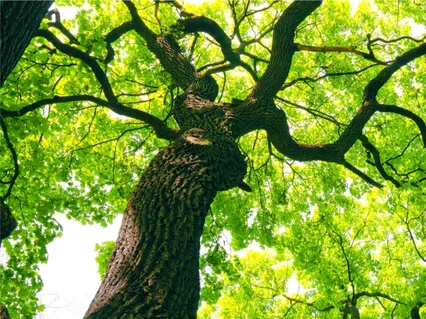 Building Self Compassion