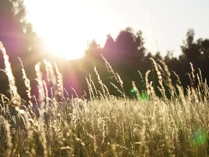 Building Self-Confidence