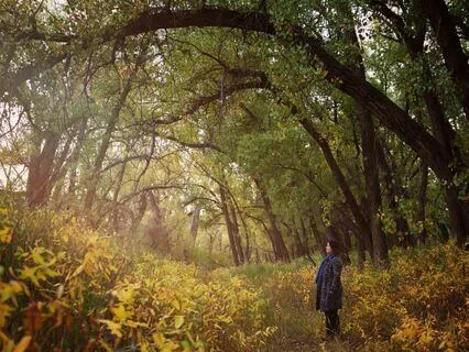 Building Self-Trust For Personal Freedom