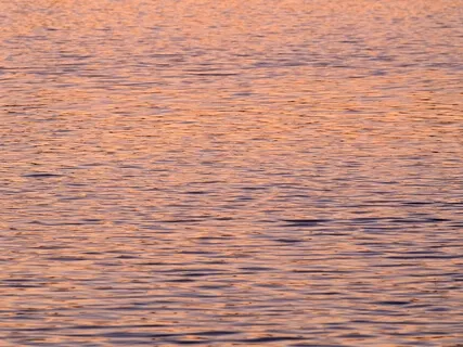 Building Wholehearted Connection With Others