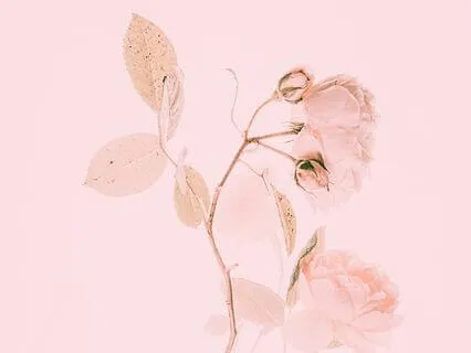 Buoyant Heart | Loving-Kindness 19-Minutes