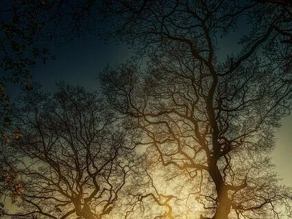 Burnout Recovery: Finding Your Way Back To Clarity And Calm