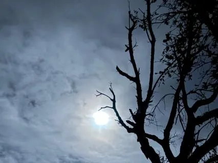 Burnt Out?  Learn To Reset With This Meditation