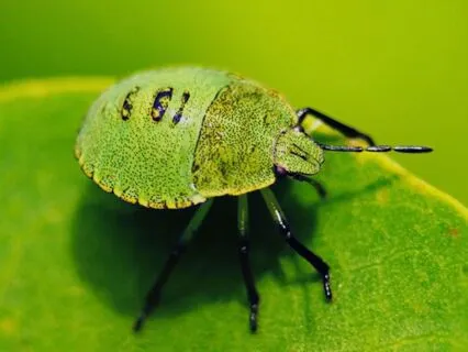 Business Energetics - Removing The Shield Of Invisibility