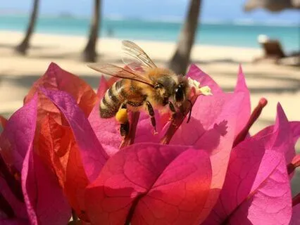 Bust The Myth Of Burnout