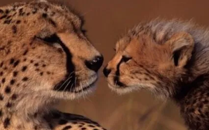 Busy Parents 5 Minute Mindfulness Of Breath Meditation