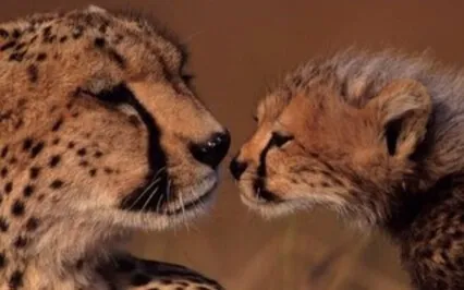 Busy Parents Mindful Drawing Meditation 