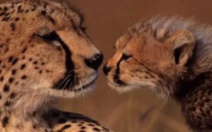 Busy Parents Mindful Walking Meditation