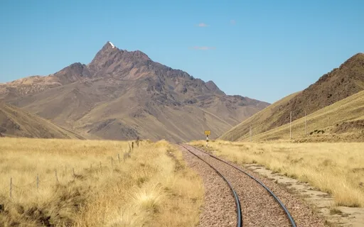 Butterfly Express Meditation