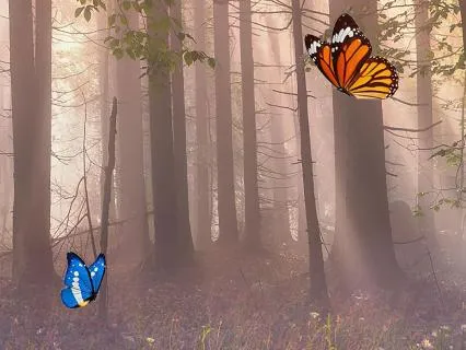 Butterfly Kisses | Peaceful Sleep Music