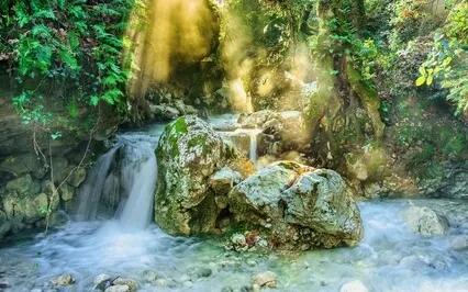 By The Brook (Celtic Harp) 