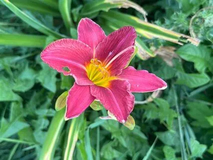 By The Garden A Soundscape