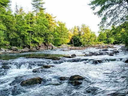 Riverside Bedtime Journey