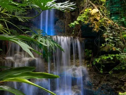 By The Way - By Jimmy