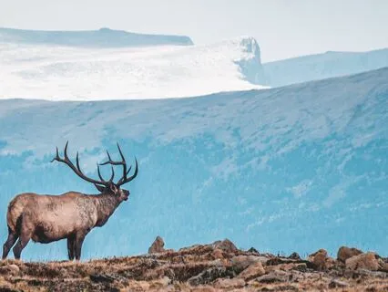 By Thy Divine Grace | Healing Piano & Voice