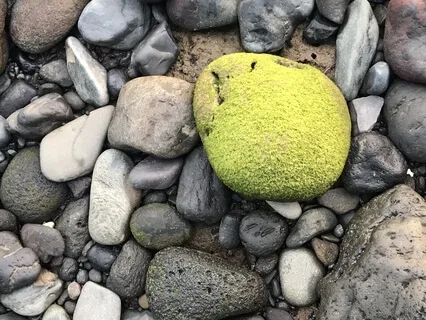 Быстрое Заземление (Body Scan)