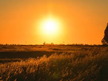 Быстрый Сон