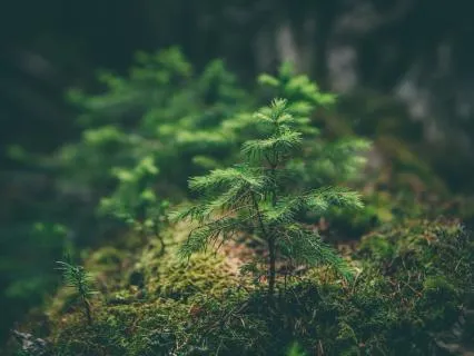 Byte: Christiane Schroeter ~ The Miracle Of The Choice!