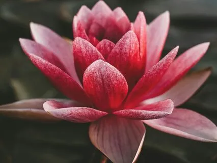 Byte:Hollis Peirce~Living With Disability, On His Own Terms!