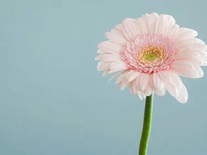 Byte: Inna Segal ~ Going Backwards Into Healing!