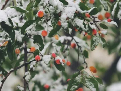 Byte: Lyubim Kogan - Keeping A Promise Saves A Life