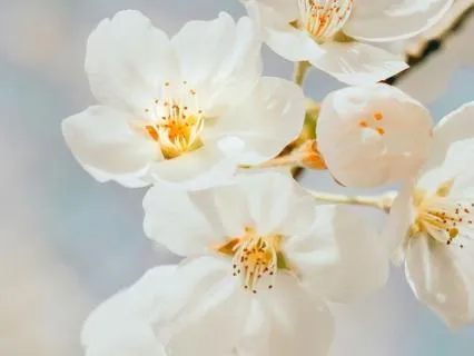 Byte: Michelle Walters ~ Synchronicities Everywhere!