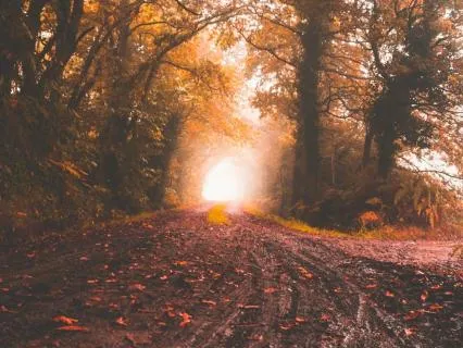 Byte: Nathaniel Turner ~ The Miracle In Gary, Indiana!