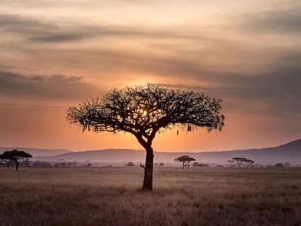 Byte: Queen D Michele ~ Surviving The Passage!