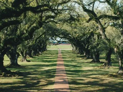 Byte: Salaam Green ~ The Woman In The Yellow Apron