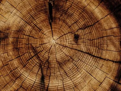 Byte: Thomas Wilson ~ Creating Abundance For Others!