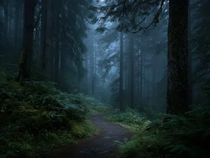 Cabin In The Fog