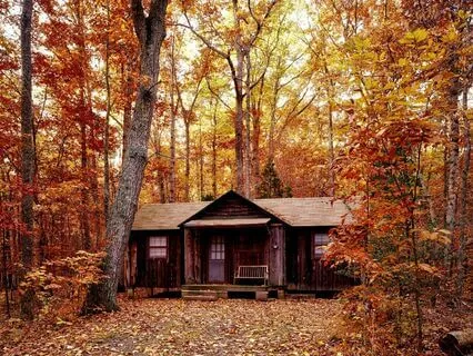 Cabin In The Woods Sleep Story