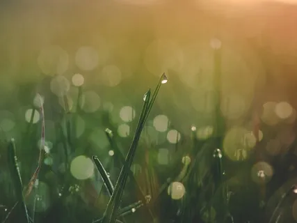 Cadence Breathing - Calm And Expansion