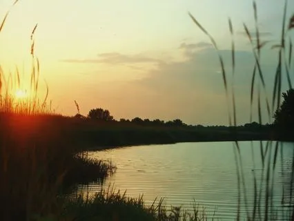 Cafe Lofi Piano — Soft, Upbeat Beats for a Cozy Mood | BGM |