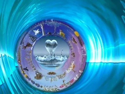 Calibrate your Pineal Gland