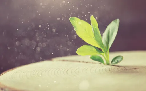 Calibrating To The Flow Of Life