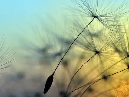 Call Back Your Energy – Guided Visualization