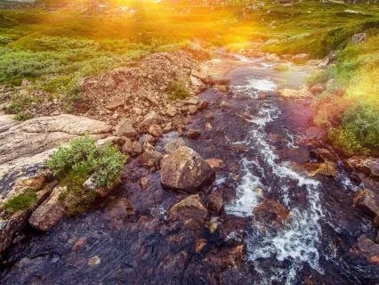 Call In Abundance! 528 + 888 Hz Tuning Forks (7.83 Hz)